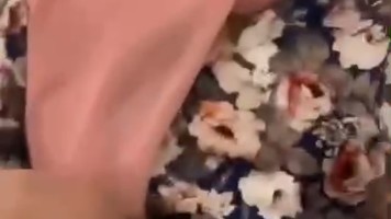 Bokep Premium Sex Hijab Pink Meki Sempit Kesakitan