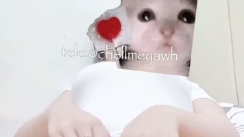 Update Chellmey Terbaru Desember 2025